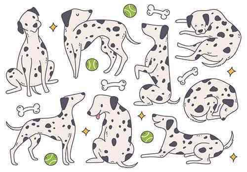 Cartoon Dalmatian Dog