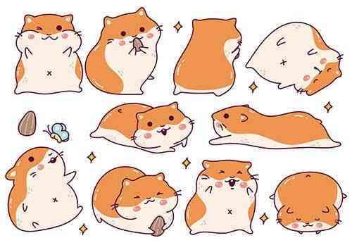 Cute Hamster Cartoon Character
