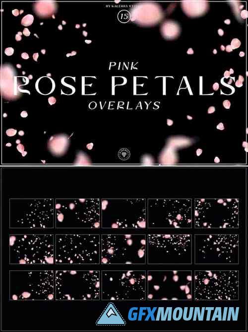 Pink Rose Petals Overlays