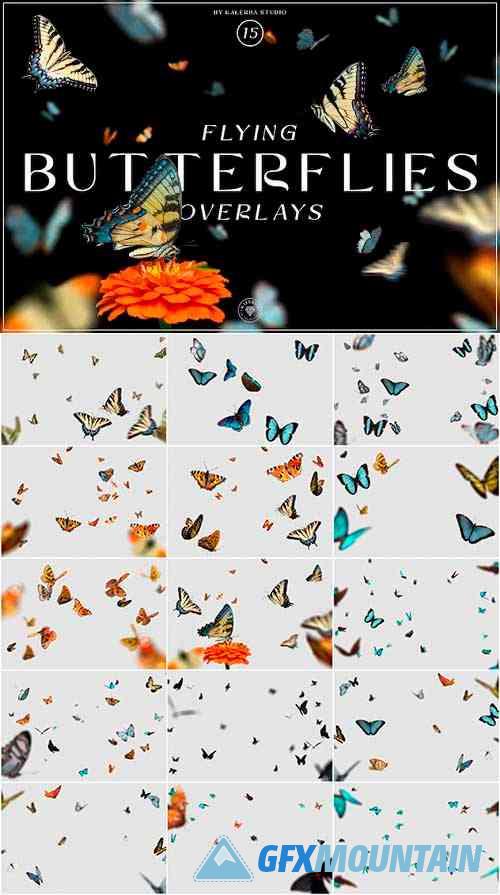 Flying Butterflies Overlays