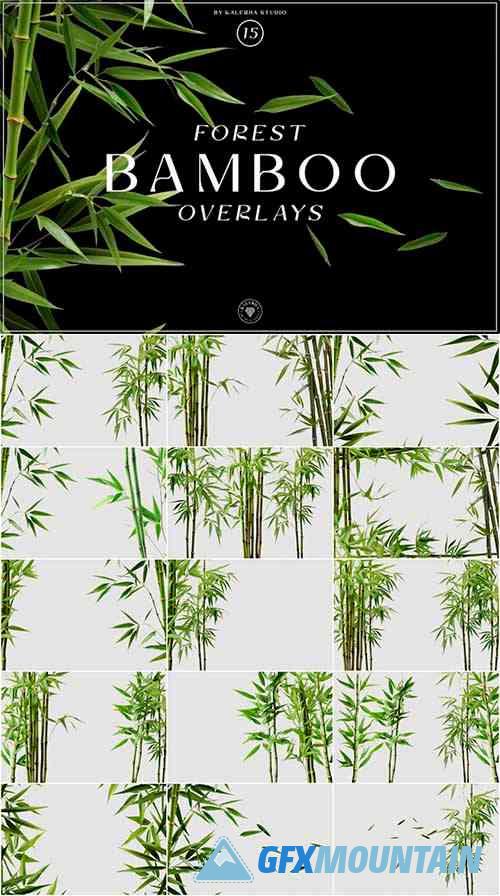Bamboo Forest Overlays