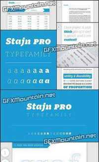 Stajn Pro Font Family - 14 Fonts for $504!