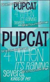 Pupcat Font Family - 8 Fonts for $180
