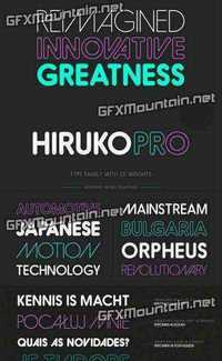 Hiruko Pro Font Family - 21 Fonts for $600