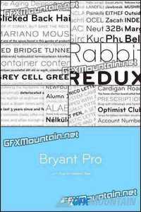 Bryant Pro Font Family - 12 Fonts for $275