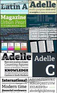 Adelle Font Family - 12 Fonts for $599
