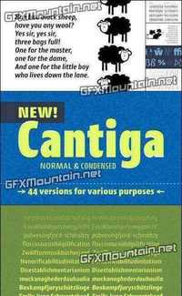 Cantiga - 44 Fonts for $440