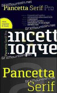 Pancetta Serif Pro Font Family - 16 Fonts for $280