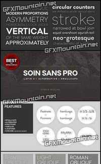 Soin Sans Pro - 11 Fonts for $199