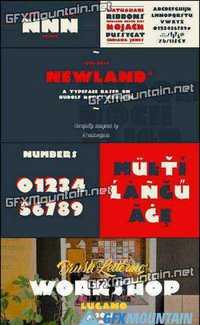 Newland Font Family - 3 Fonts for $69