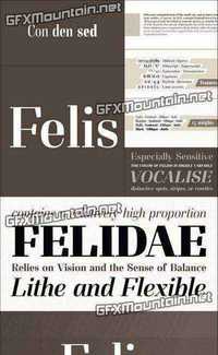 Felis Font Family - 15 Fonts for $200
