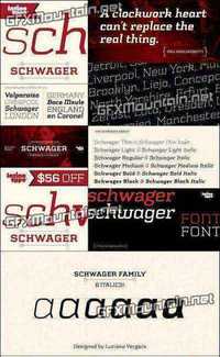 Schwager Font Family - 12 Fonts for $149