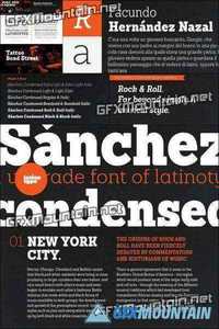Sanchez Condensed Font Family - 12 Fonts for $126