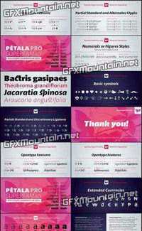 Petala Pro Font Family - 18 Fonts for $259