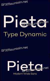 Pieta Font Family - 14 Fonts for $150