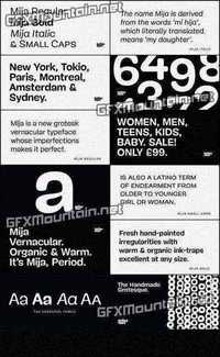 Mija Font Family - 4 Fonts for $69