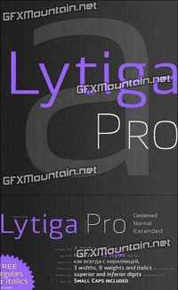 Lytiga Pro Font Family - 48 Fonts for $645