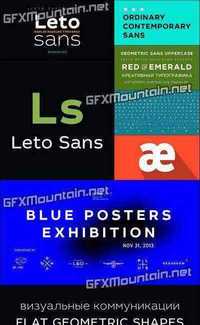 Leto Sans Font Family - 6 Fonts for $100