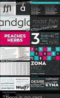 Zona Pro Font Family - 16 Fonts