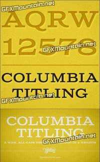 Columbia Titling Font Family - 4 Fonts for $24