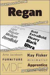 Regan Font Family - 20 Fonts for $299