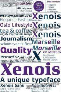 Xenois Font Family- 60 Fonts $2100
