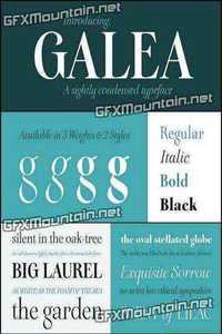 Galea Display Font Family - 4 Font $200