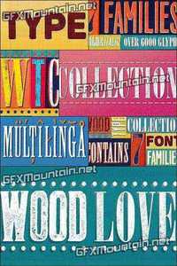Wood Type Collection Font Family - 39 Font $390