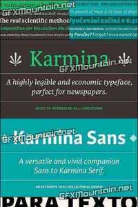 Karmina Font Family - 16 Fonts  $1065
