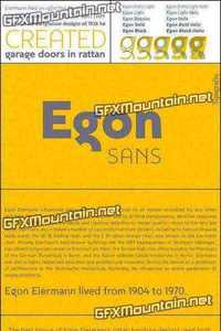 Egon Sans Font Family - 10 Fonts for $230