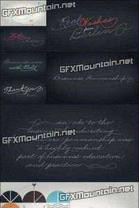 Business Penmanshipt Font - 1 Font 79$