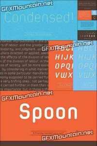 Spoon Font Family - 14 Fonts for $300