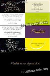 Paulette Font Family - 2 Fonts for $40
