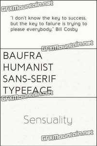 Baufra Font Family - 6 Fonts for $119