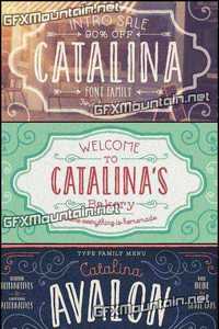 Catalina Italics Font Family - 34 Fonts 340$