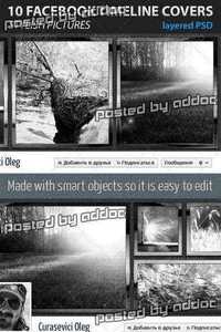 GraphicRiver - 10 Facebook Timeline Covers