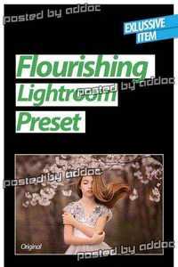 Graphicriver - Flourishing Lightroom Preset 8862667