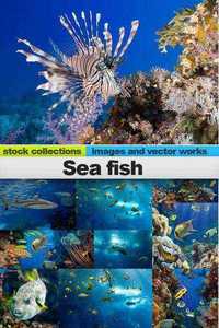 Sea fish, 25 x UHQ JPEG