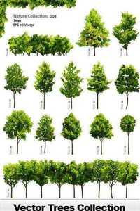 Vector Trees Collection - 25x EPS