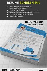 CodeGrape - Resume Bundle 4 in 1 5305