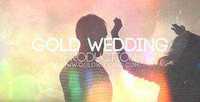 Videohive Wedding Production 10024112