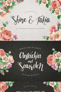 Shine & Tokio Typeface