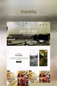 Graphicriver Simple Email Templates -Travelia- 11259269