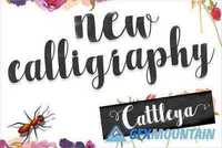 Cattleya Script