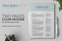 2 Pages Clean Resume CV - Pandora