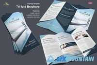 Business Trifold Brochure Vol. 4