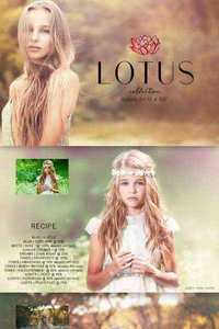 Lotus Photoshop Action Collection