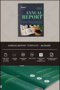 GraphicRiver - Annual Report 11707007