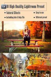 GraphicRiver - 10 Lightroom Preset - 9258863