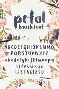 Petal - Brush Font